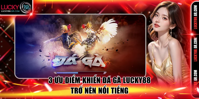 3 ưu điểm khiến đá gà Lucky88 trở nên nổi tiếng