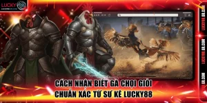 Cách nhận biết gà chọi giỏi